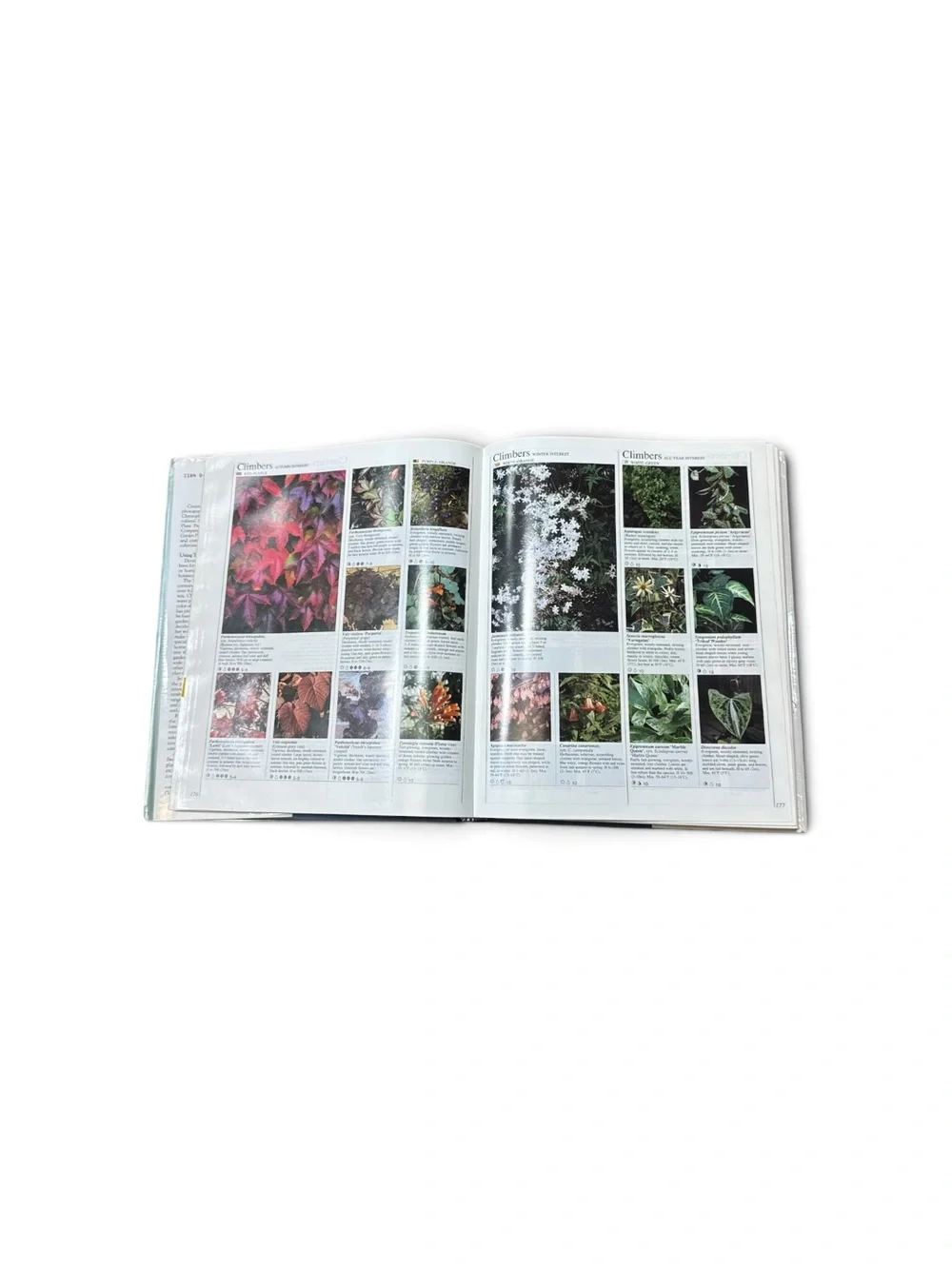 Vintage 1989 American Horticultural Society Encyclopedia of Garden Plants